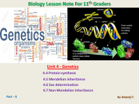 G11_Bio note_Genetics (U4)_part II.pdf